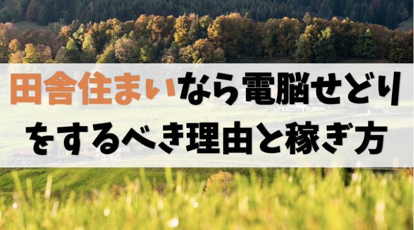 【影響なし】田舎・地方住まいなら電脳せどりをすべき【理由は3つ】